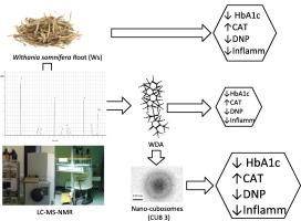 Nano-cubosomes of the phyto-active principle in Withania somnifera: LC-MS-NMR, anti-microbial, and insights of the anti-neuropathic and anti-inflammatory mechanism