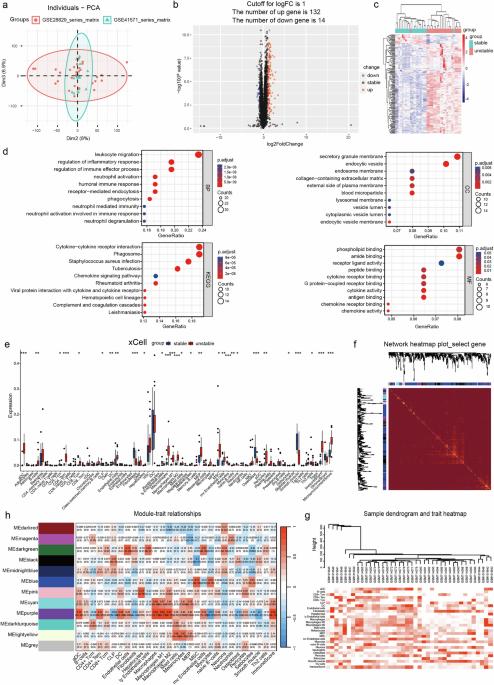 Neutrophil extracellular traps mediate the crosstalk between plaque microenvironment and unstable carotid plaque formation