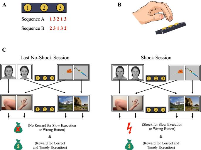 Model-free decision-making underlies motor errors in rapid sequential movements under threat