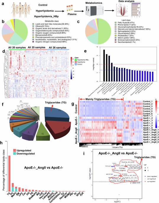 Altered lipid metabolism promoting cardiac fibrosis is mediated by CD34+ cell-derived FABP4+ fibroblasts