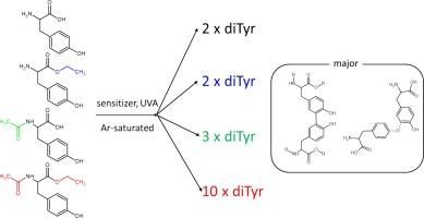 Influence of blocking groups on photo-oxidation of tyrosine and derivatives