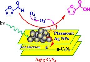 Visible-light-driven photocatalytic oxidation of furfural to furoic acid over Ag/g-C3N4