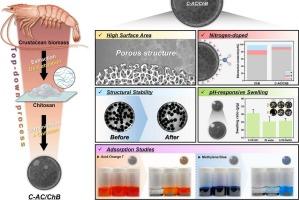 Chitosan-derived activated carbon/chitosan composite beads for adsorptive removal of methylene blue and acid orange 7 dyes