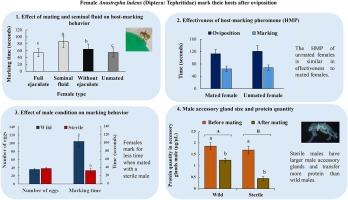 Male condition and seminal fluid affect female host-marking behavior in the Mexican fruit fly