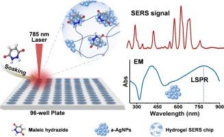 Rapid detection of maleic hydrazide based on the hydrogel SERS platform