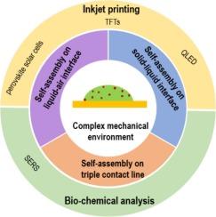 Evaporative self-assembly in colloidal droplets: Emergence of ordered structures from complex fluids