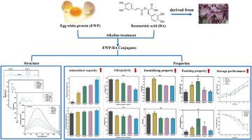 Effects of rosmarinic acid covalent conjugation on the allergenicity and functional properties of egg white protein