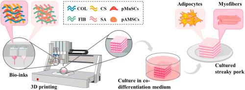 Engineered streaky pork by 3D co-printing and co-differentiation of muscle and fat cells