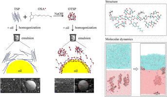 An investigation of the mechanism of emulsion stabilization in octenyl succinic anhydride-modified tamarind seed polysaccharide