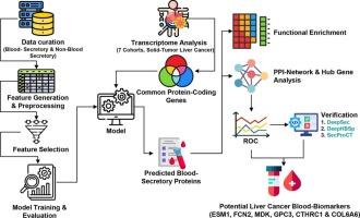 Machine learning approach to predict blood-secretory proteins and potential biomarkers for liver cancer using omics data