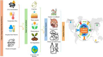 A comprehensive review of the impacts of climate change on agriculture in Thailand