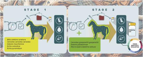 Design, development and preclinical assessment of MENAVip-ICP, a new snake antivenom with potential coverage of species in the Middle East and North Africa regions