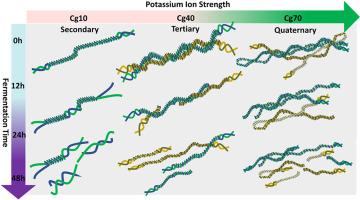 Potassium-induced κ-carrageenan helices resist degradation by gut microbiota in an in vitro model