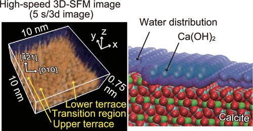 High-Speed Three-Dimensional Scanning Force Microscopy Visualization of Subnanoscale Hydration Structures on Dissolving Calcite Step Edges