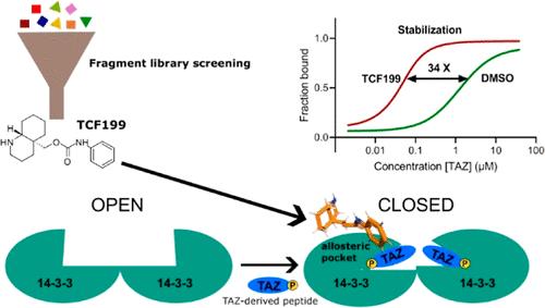 Fragment-Based Interrogation of the 14–3–3/TAZ Protein–Protein Interaction