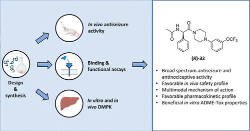 Discovery and Profiling of New Multimodal Phenylglycinamide Derivatives as Potent Antiseizure and Antinociceptive Drug Candidates