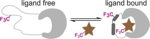 19F NMR Reveals the Dynamics of Substrate Binding and Lid Closure for Iodotyrosine Deiodinase as a Complement to Steady-State Kinetics and Crystallography