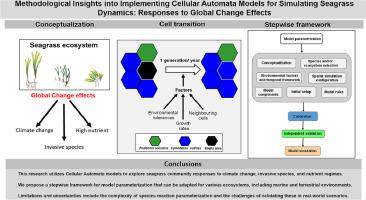 Methodological Insights into Implementing cellular automata models for simulating seagrass dynamics: Responses to global change effects