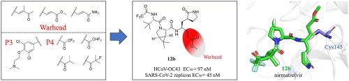 Discovery of the potent covalent inhibitor with an acrylate warhead for SARS-CoV-2 3CL protease