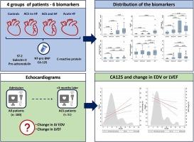 Heart failure biomarkers and prediction of early left ventricle remodeling after acute coronary syndromes