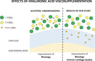 Effect of hyaluronic acid-based viscosupplementation on cartilage material properties