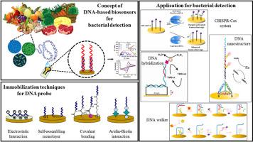 Biosensor technologies: DNA-based approaches for foodborne pathogen detection