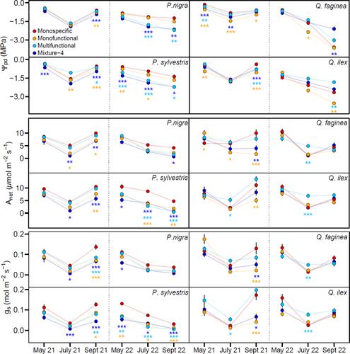 Drought effects in Mediterranean forests are not alleviated by diversity-driven water source partitioning