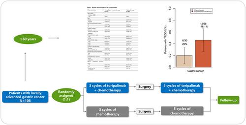 The efficacy of neoadjuvant immunotherapy combined with chemotherapy in elderly patients with gastric cancer: A subgroup analysis of the NEOSUMMIT-01 study