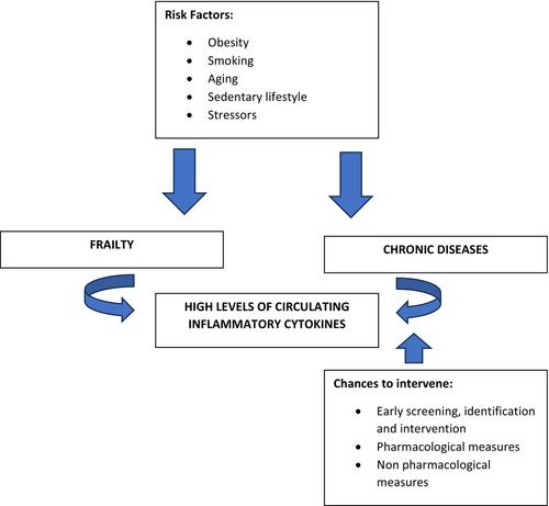 Frailty and chronic diseases: A bi-directional relationship