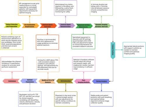 Standardized evaluation methodology for renal cortical blood perfusion in elderly patients using contrast-enhanced ultrasound: A Chinese expert consensus (2024 edition)