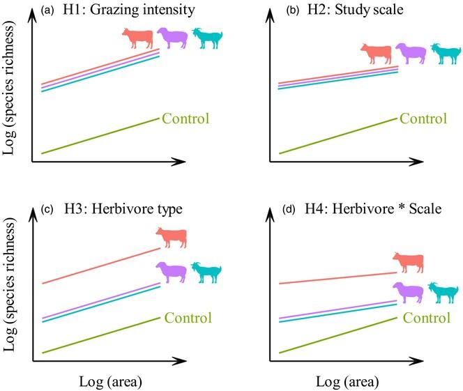 Scale dependence and mechanisms of grazing-induced biodiversity changes depend on herbivore type in semiarid grasslands