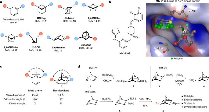 Catalytic asymmetric synthesis of meta benzene isosteres