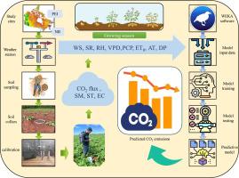 Prediction of carbon dioxide emissions from Atlantic Canadian potato fields using advanced hybridized machine learning algorithms – Nexus of field data and modelling