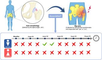 The association between cam morphology and hip pain in males and females within 10 years: A national prospective cohort study (CHECK)