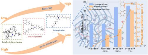 Role of the side chain configuration on the effective recovery of phenolic compounds using polymer inclusion membranes based on tertiary amine