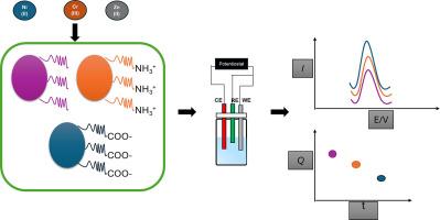 Electrochemical detection of heavy metal ions adsorbed on microplastics with varying surface charges