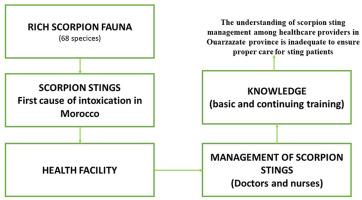 Assessment of knowledge about first aid methods, diagnosis, and treatment of scorpion stings among health workers in Ouarzazate region, Morocco: A cross-sectional study