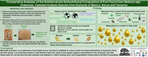 Comparative analyses of the nutritional and antinutritional composition of pod flours from Neltuma spp. (Fabaceae, Caesalpinioideae) species from drylands of Mexico, Kenya and Tanzania