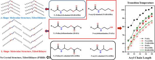 Thermotropic phase behavior, structure and supramolecular organization of N, O-diacyl-β-alaninols with matched N- and O-acyl chains (n = 9-18)