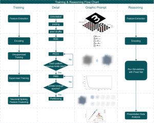 Adaptive structure generation and neuronal differentiation for memory encoding in SNNs