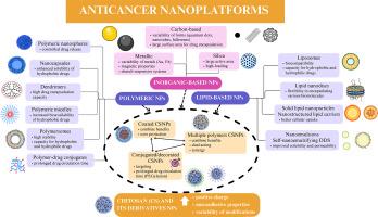 Advances in the delivery of anticancer drugs by nanoparticles and chitosan-based nanoparticles