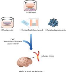 In vitro modelling of the neurovascular unit for ischemic stroke research: Emphasis on human cell applications and 3D model design