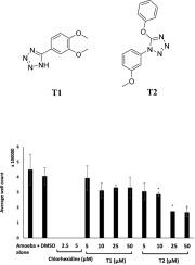 Anti-Acanthamoebic effects of silver-conjugated tetrazole nanoparticle