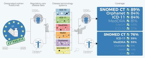 Feasibility of disease terminology systems for mapping orphan conditions and therapeutic indications of designated orphan medicines in the European Union