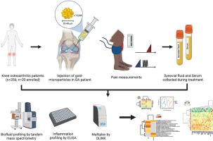 Intraarticular gold for knee osteoarthritis: An ancillary analysis of biomarkers and outcome of a pilot study