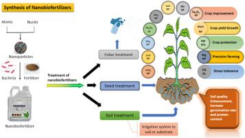 Nano-biofertilizer an eco-friendly and sustainable approach for the improvement of crops under abiotic stresses