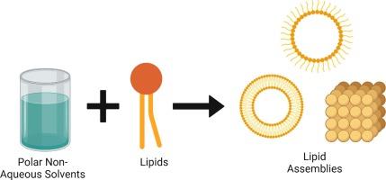 Getting together without water: Lipid self-assembly in polar non-aqueous solvents