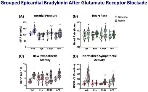 Activation of nociception-sensitive ionotropic glutamate receptor-expressing rostroventrolateral medulla neurons by stimulation of cardiac afferents in rats