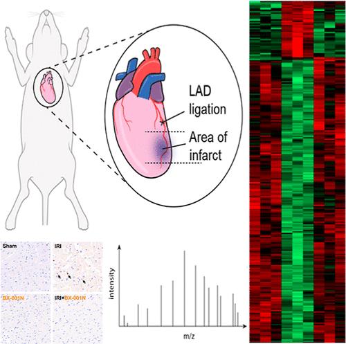 Proteomics Profiling of Bilirubin Nanoparticle Treatment against Myocardial Ischemia-Reperfusion Injury