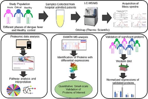 Differential Proteomic Profiling at Different Phases of Dengue Infection: An Intricate Insight from Proteins to Pathogenesis